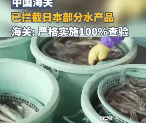 中國海關(guān)強(qiáng)化對日本水產(chǎn)品進(jìn)口監(jiān)管，日本媒體高度關(guān)注農(nóng)產(chǎn)品安全議題