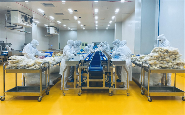 萬緯青島榴蓮超級工廠正式開倉 攜手客戶共筑高效、韌性農(nóng)產(chǎn)品供應(yīng)鏈生態(tài)